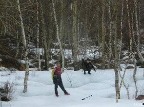 在那白雪皑皑的季节